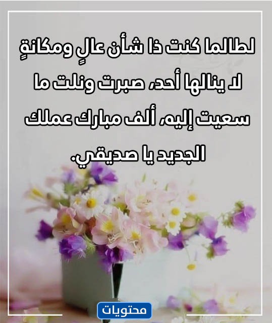 كشوفات مصورة عن انتقال 1444 معلماً ومعلمة إلى الخارج 