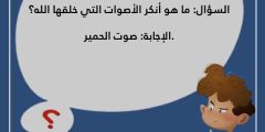 اسئلة مسابقات عامة 2025 مع الحل