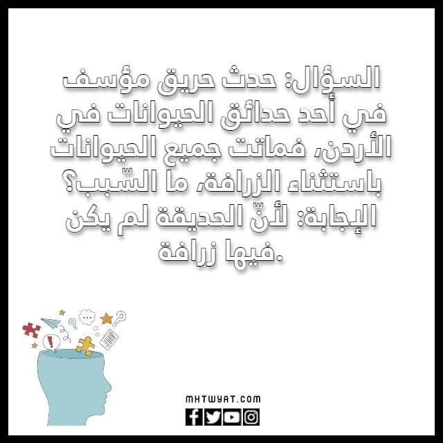 أسئلة عامة مضحكة 2023 مع الصور