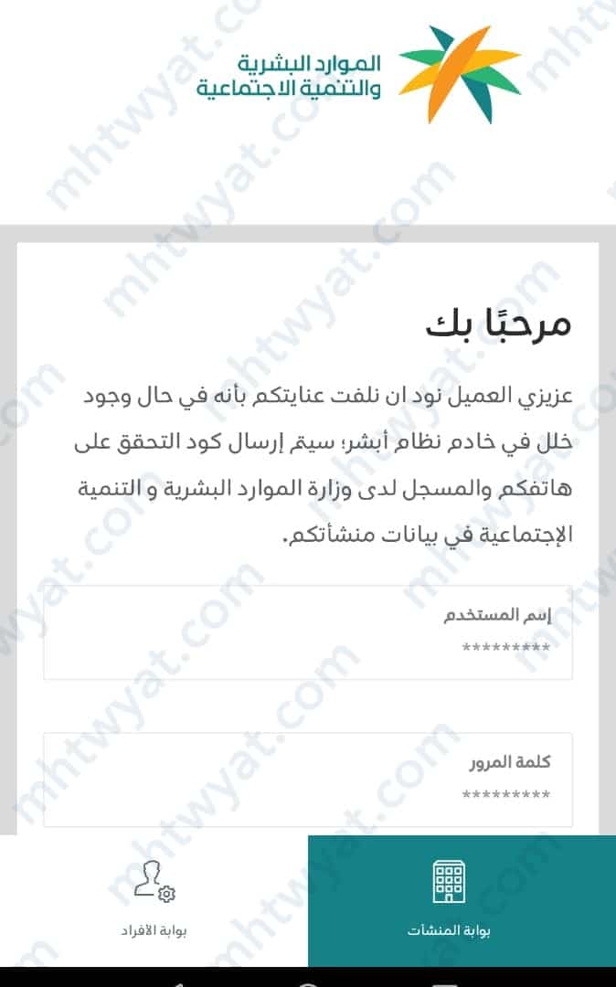 إجراءات فتح شركة فردية بدون سجل تجاري