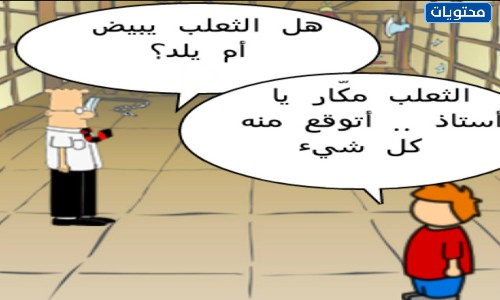 صور نكت عن المدرسة