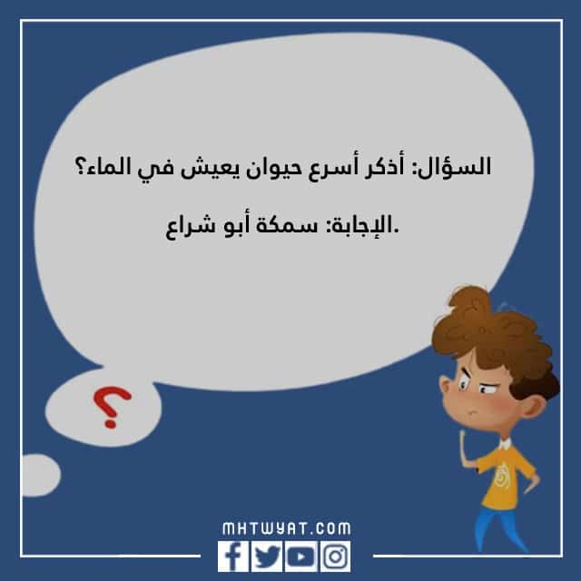 أسئلة مسابقة مضحكة مع الصور