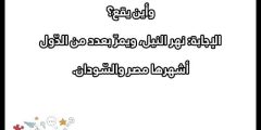 لعبة اسئلة عامة 2025 “+200 اسئلة واجوبة ثقافية عامه”