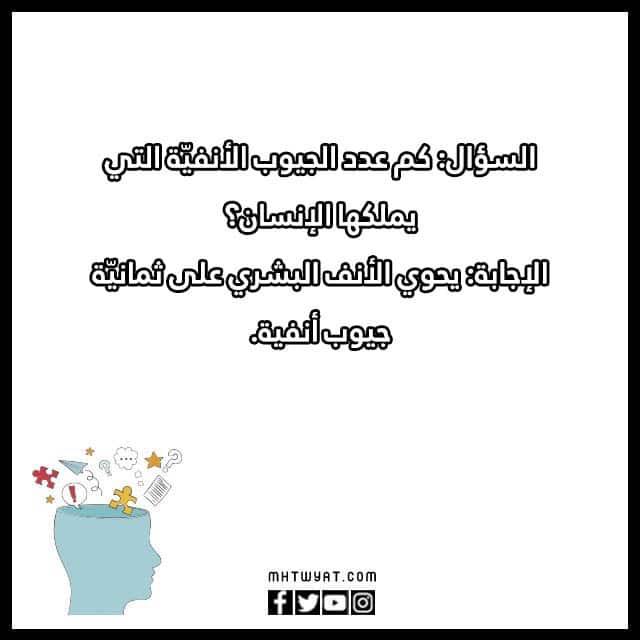 أسئلة وأجوبة ذكاء للأطفال مع الحلول