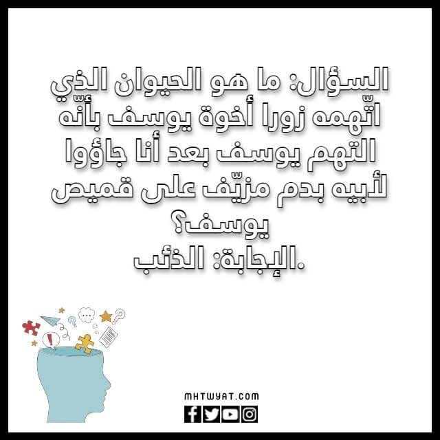 أسئلة عامة عن الحيوانات المصورة للأطفال