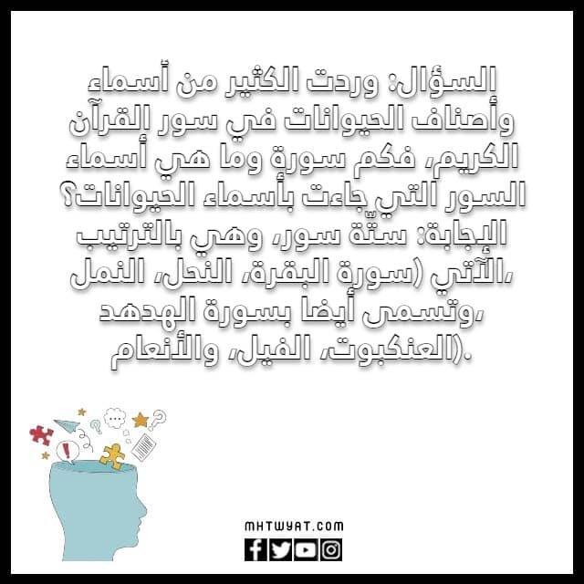 أسئلة عامة عن الحيوانات المصورة للأطفال