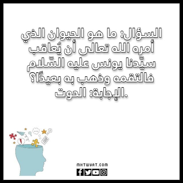 أسئلة وأجوبة عامة عن الحيوانات 2023