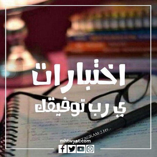 حالات اختبار WhatsApp