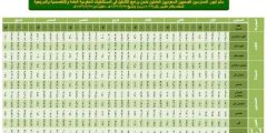 سلم رواتب الكادر الصحي 1448